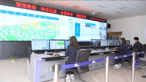 濱海區 以信息技術開發為引擎，筑牢企業安全管理新防線